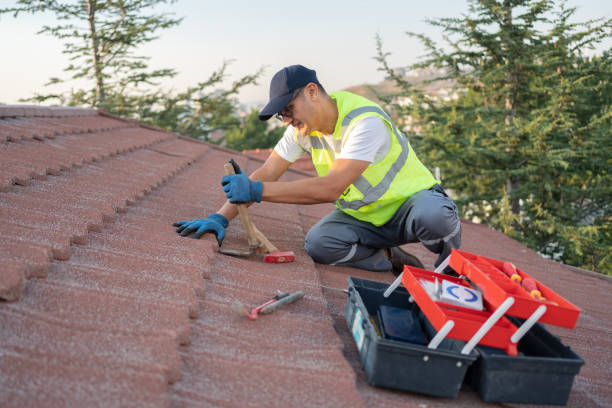 Best Roof Gutter Cleaning  in Ennis, TX